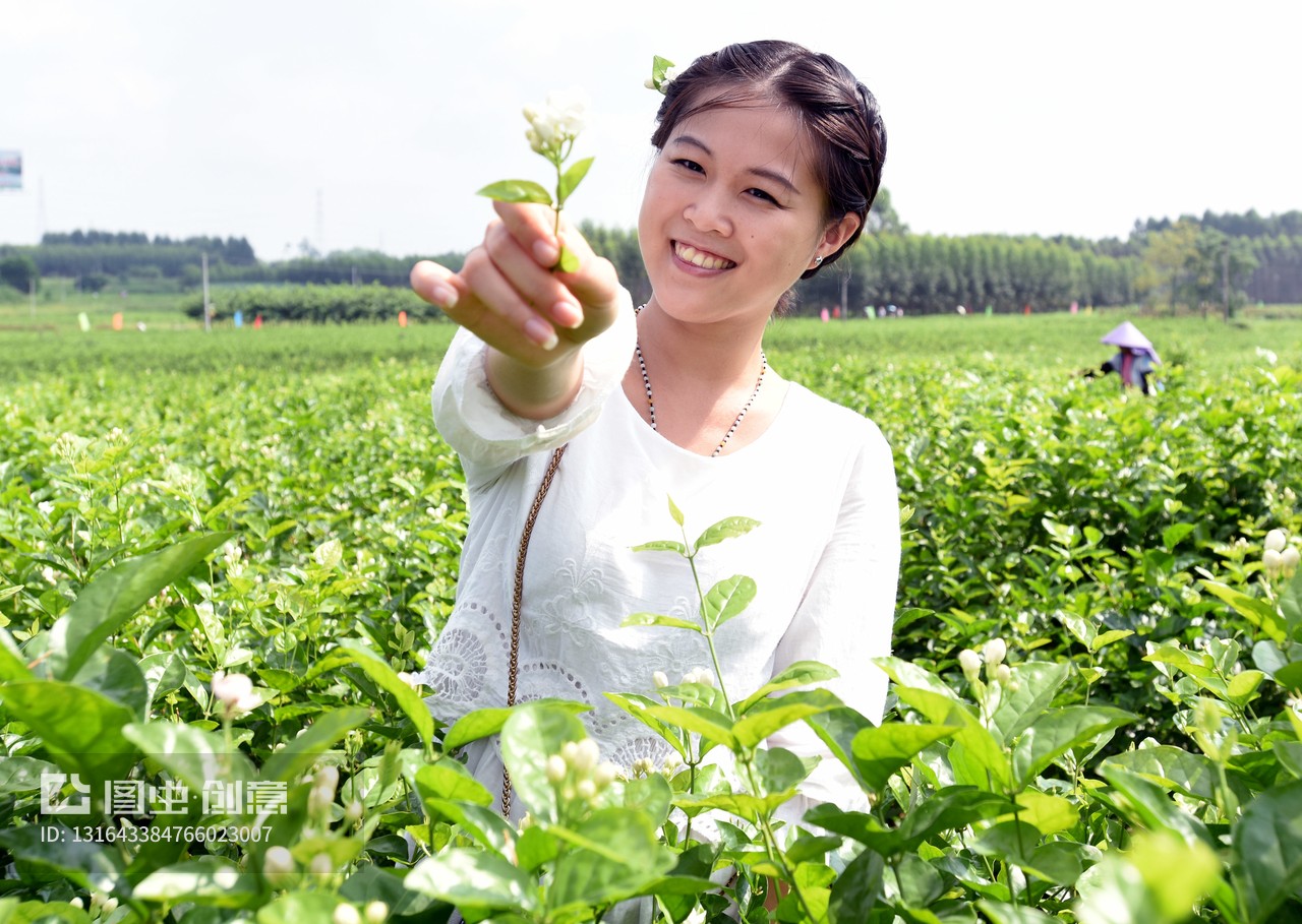 赵世平的诗歌：无锡即景